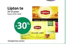 Joker Lipton te tilbud