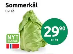 Joker Sommerkål tilbud
