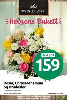 Joker Roser, Chrysanthemum og Brudeslør tilbud