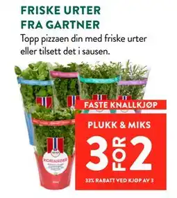 Jacobs FRISKE URTER FRA GARTNER tilbud