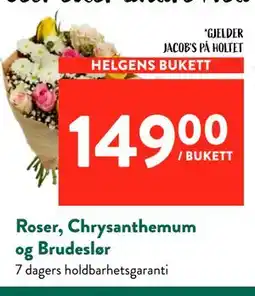 Jacobs Roser, Chrysanthemum og Brudeslør tilbud