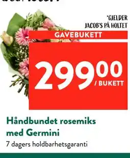 Jacobs Håndbundet rosemiks med Germini tilbud
