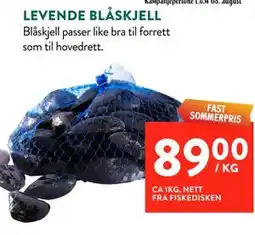 Jacobs LEVENDE BLÅSKJELL tilbud