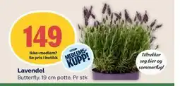 Coop Mega Lavendel, Medlemspris tilbud