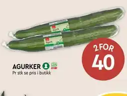 Coop Mega AGURKER tilbud