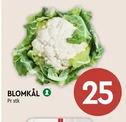Coop Mega BLOMKÅL tilbud