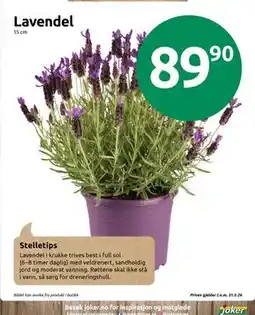 Joker Lavendel tilbud
