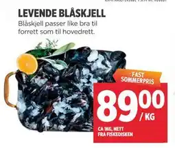 Meny LEVENDE BLÅSKJELL tilbud
