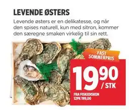 Meny LEVENDE ØSTERS tilbud