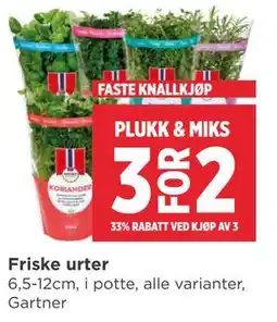 Meny Friske urter tilbud