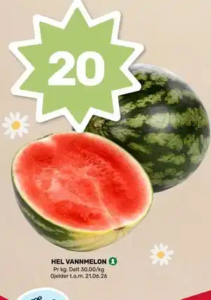 HEL VANNMELON