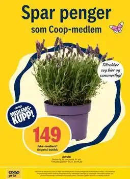 Coop Prix LAVENDEL, Medlemspris tilbud
