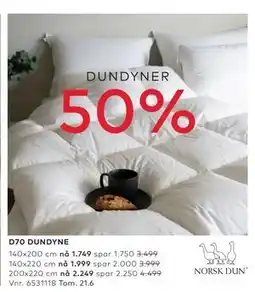 Skeidar D70 DUNDYNE tilbud