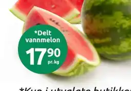 Joker Delt vannmelon tilbud