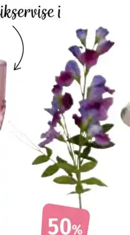 Nille Erteblomst tilbud