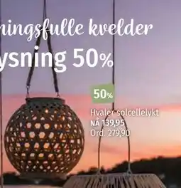 Nille Hvaler solcellelykt tilbud