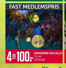 Europris HENGENDE SOLCELLE, Medlemspris tilbud