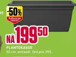 Europris PLANTEKASSE tilbud