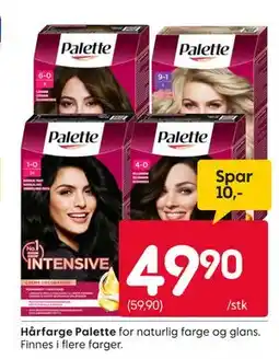 Rusta Hårfarge Palette tilbud