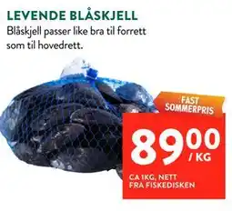 Jacobs LEVENDE BLÅSKJELL tilbud