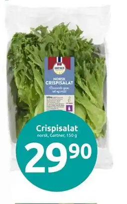Joker Crispisalat tilbud