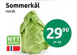 Joker Sommerkål tilbud