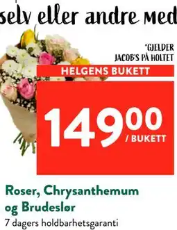 Jacobs Roser, Chrysanthemum og Brudeslør tilbud