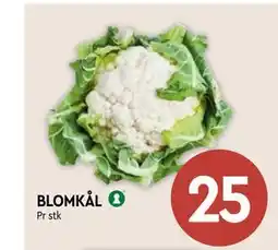 Coop Mega BLOMKÅL tilbud