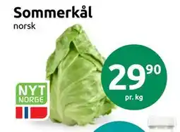 Joker Sommerkål tilbud