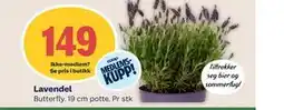 Coop Mega Lavendel, Medlemspris tilbud