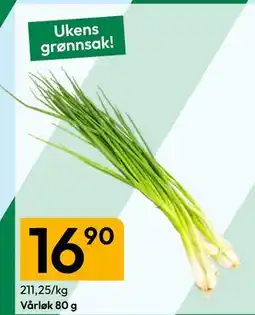 Gigaboks Vårløk 80 g tilbud