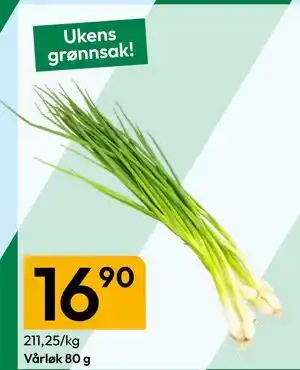 Gigaboks Vårløk 80 g tilbud