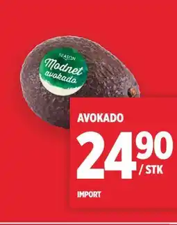 Meny AVOKADO tilbud