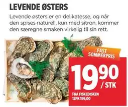 Meny LEVENDE ØSTERS tilbud