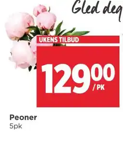 Meny Peoner tilbud