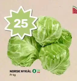 Matkroken NORSK NYKÅL tilbud