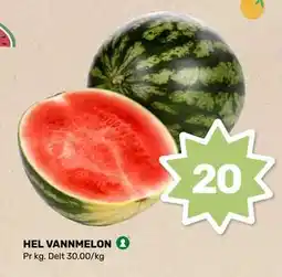 Matkroken HEL VANNMELON tilbud