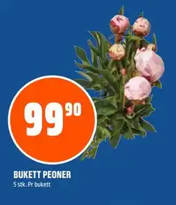 Coop Obs BUKETT PEONER tilbud