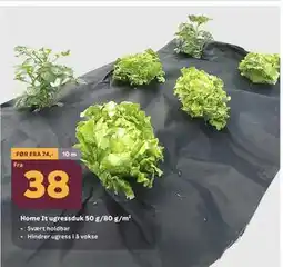 Megaflis Home It ugressduk 50 g/80 g/m² tilbud