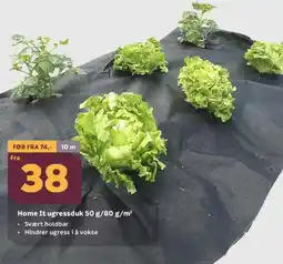 Megaflis Home it ugressduk 50 g/80 g/m² tilbud
