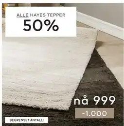 Skeidar ALLE HAYES TEPPER tilbud