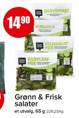 Spar Grønn & Frisk salater tilbud