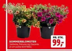 jem & fix SOMMERBLOMSTER tilbud