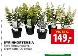 jem & fix SYRINHORTENSIA tilbud