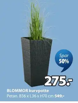 JYSK BLOMMOR kurvpotte tilbud