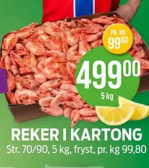 REKER I KARTONG