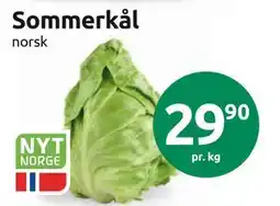 Joker Sommerkål tilbud