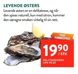 Jacobs LEVENDE ØSTERS tilbud