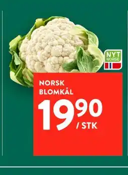 Jacobs NORSK BLOMKÅL tilbud