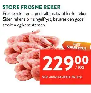 STORE FROSNE REKER